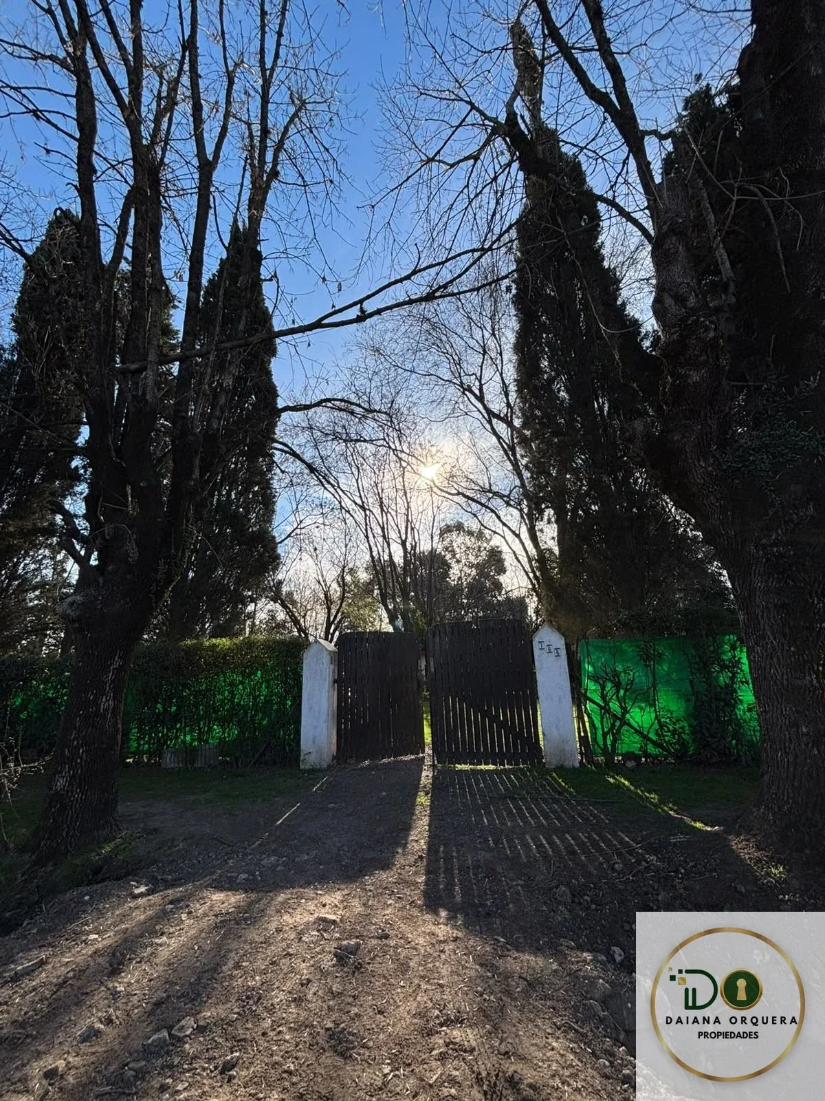 Terreno de 1.050 m² con casa a refaccionar, pileta y parque – Cañuelas - Imagen 4