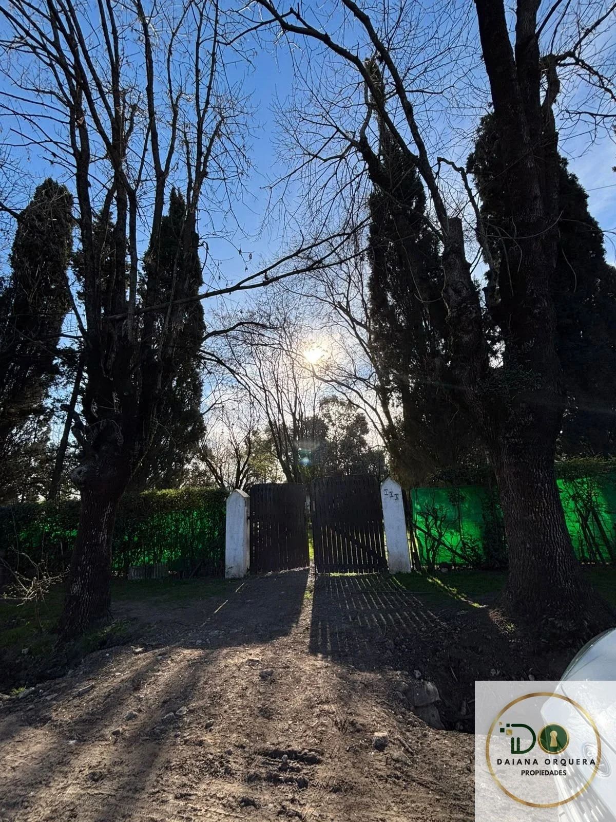 Terreno de 1.050 m² con casa a refaccionar, pileta y parque – Cañuelas - Imagen 3