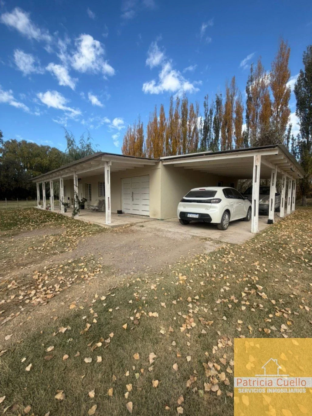 Casa quinta en venta de 10979.28m2 ubicado en Cinco Saltos - Imagen 4