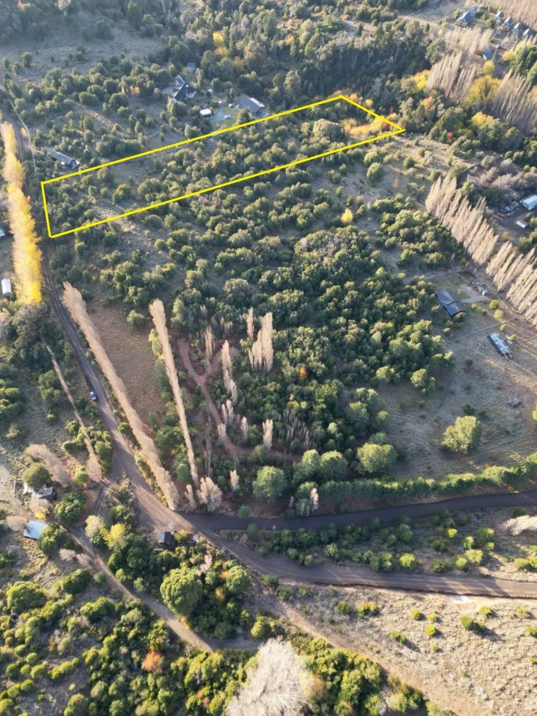 Terreno / Lote en venta de 10000m2 ubicado en San Martin de los Andes - Imagen 3