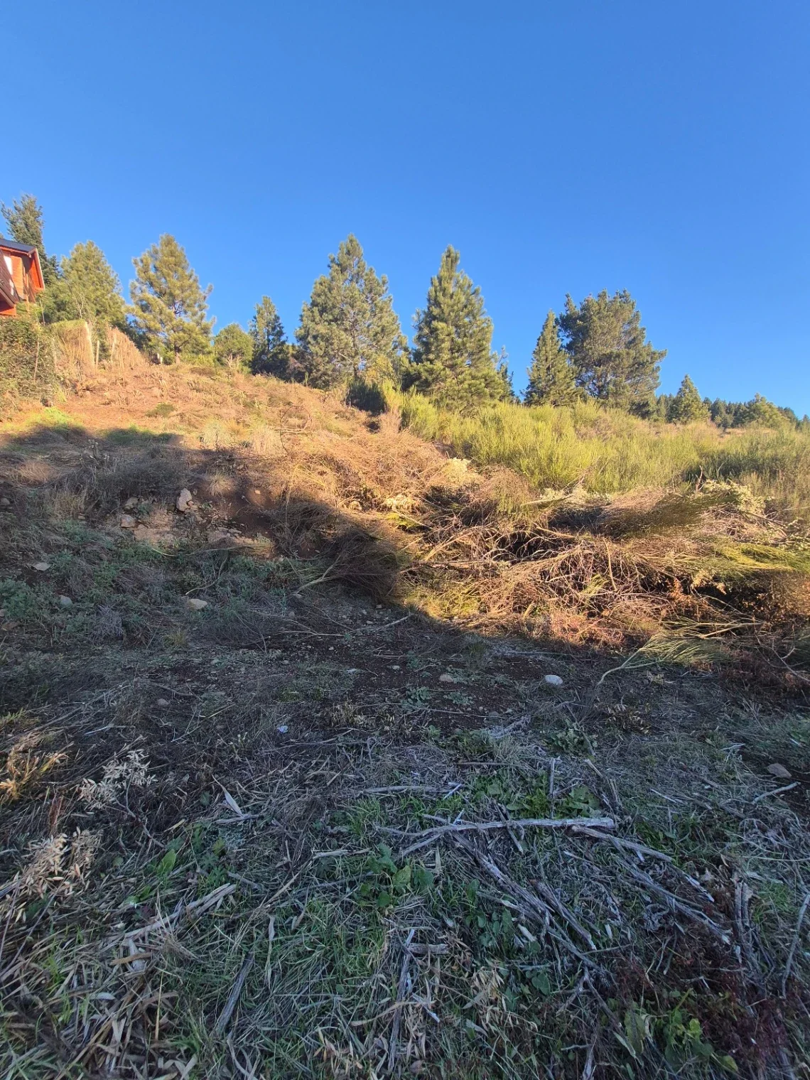 Terreno / Lote en venta de 1487m2 ubicado en San Martin de los Andes - Imagen 3