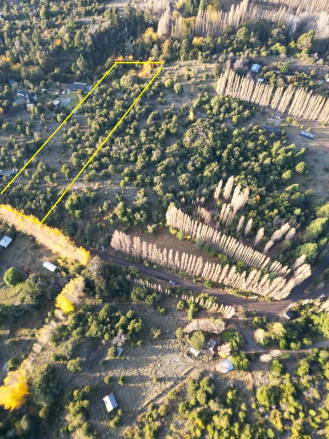 Terreno / Lote en venta de 10000m2 ubicado en San Martin de los Andes - Imagen 2