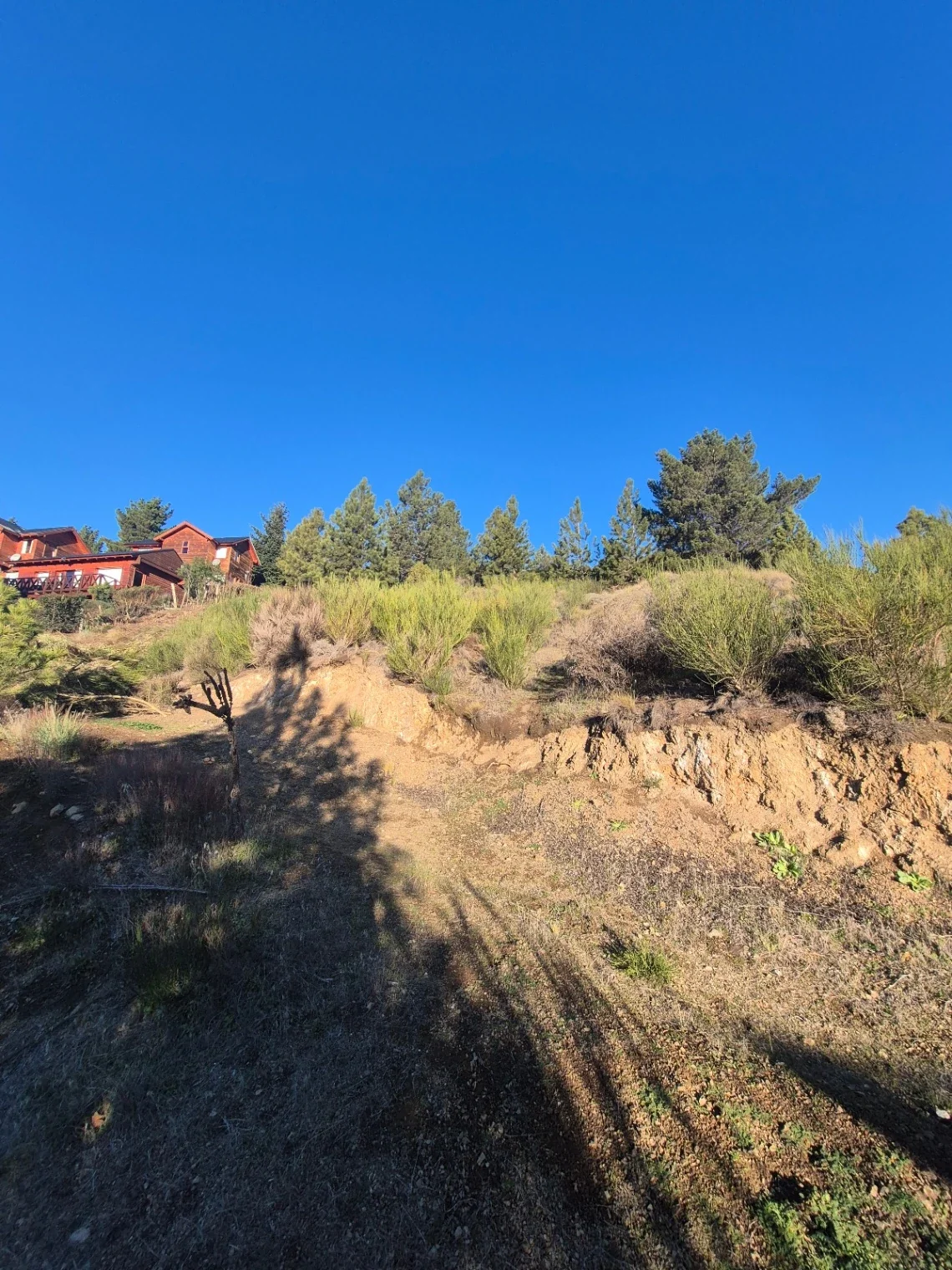 Terreno / Lote en venta de 1487m2 ubicado en San Martin de los Andes - Imagen 4