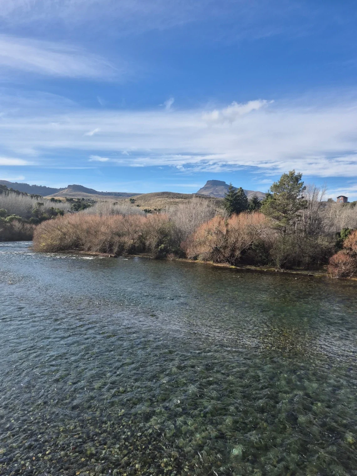 Terreno / Lote en venta de 1155m2 ubicado en Junín de los Andes - Imagen 1