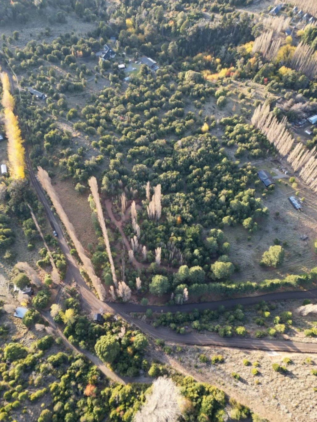 Terreno / Lote en venta de 10000m2 ubicado en San Martin de los Andes - Imagen 4