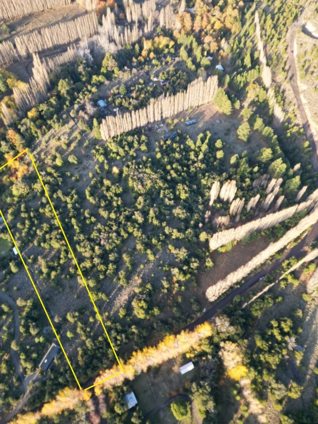 Terreno / Lote en venta de 10000m2 ubicado en San Martin de los Andes - Imagen 1
