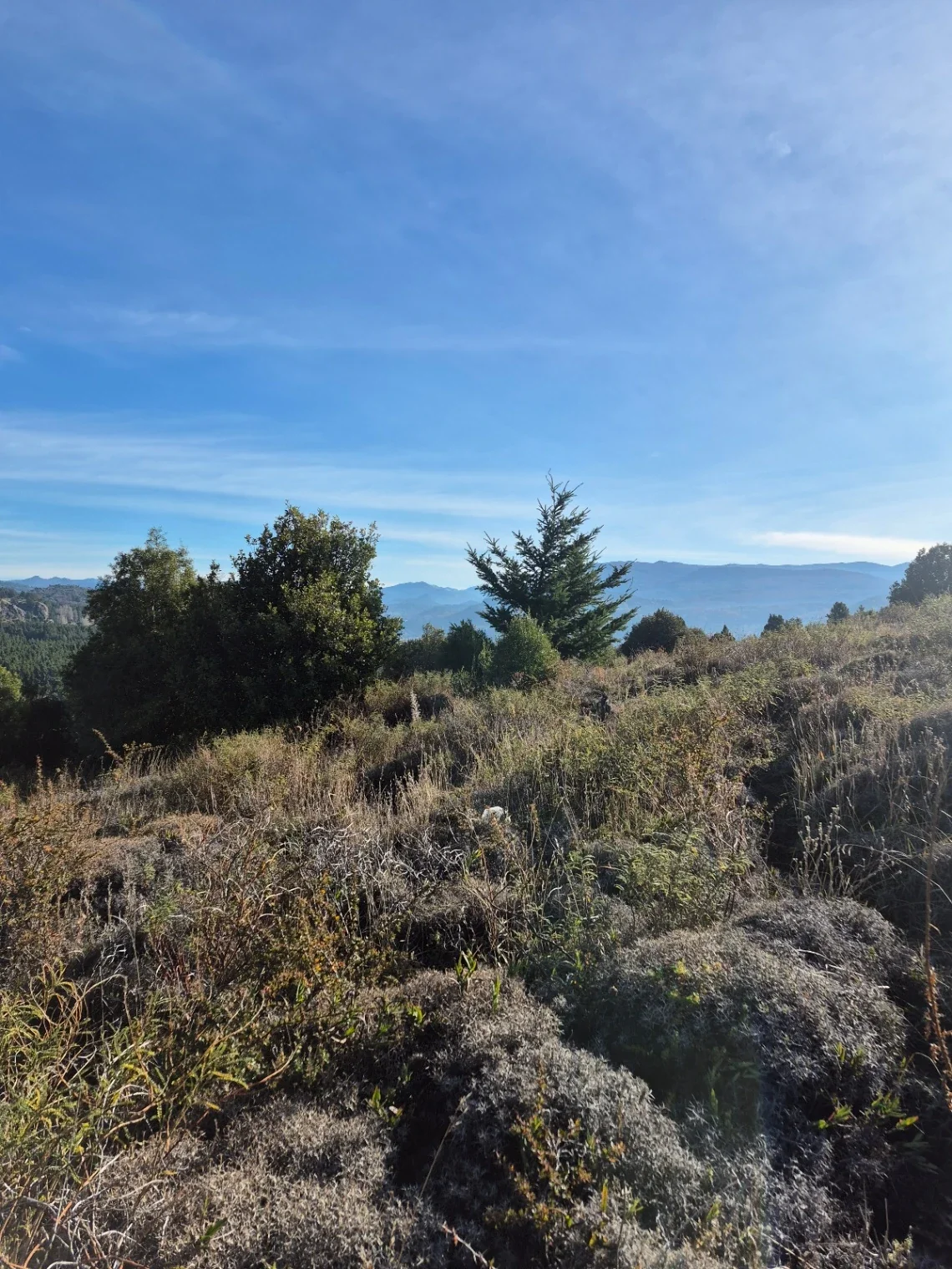 Terreno / Lote en venta de 529m2 ubicado en San Martin de los Andes - Imagen 1