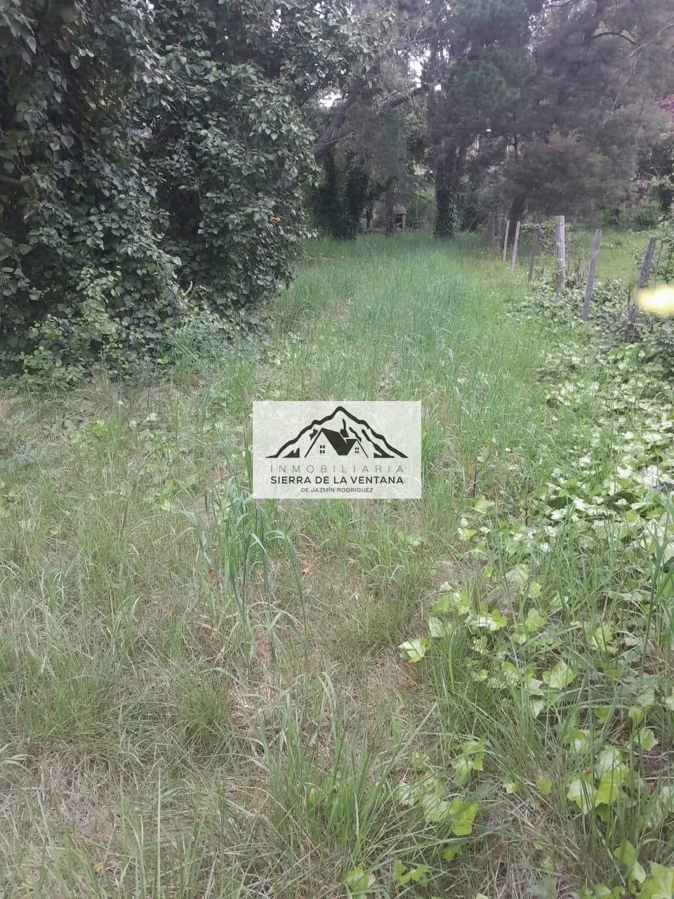 Terreno / Lote en venta de 1900m2 ubicado en Villa Ventana - Imagen 4