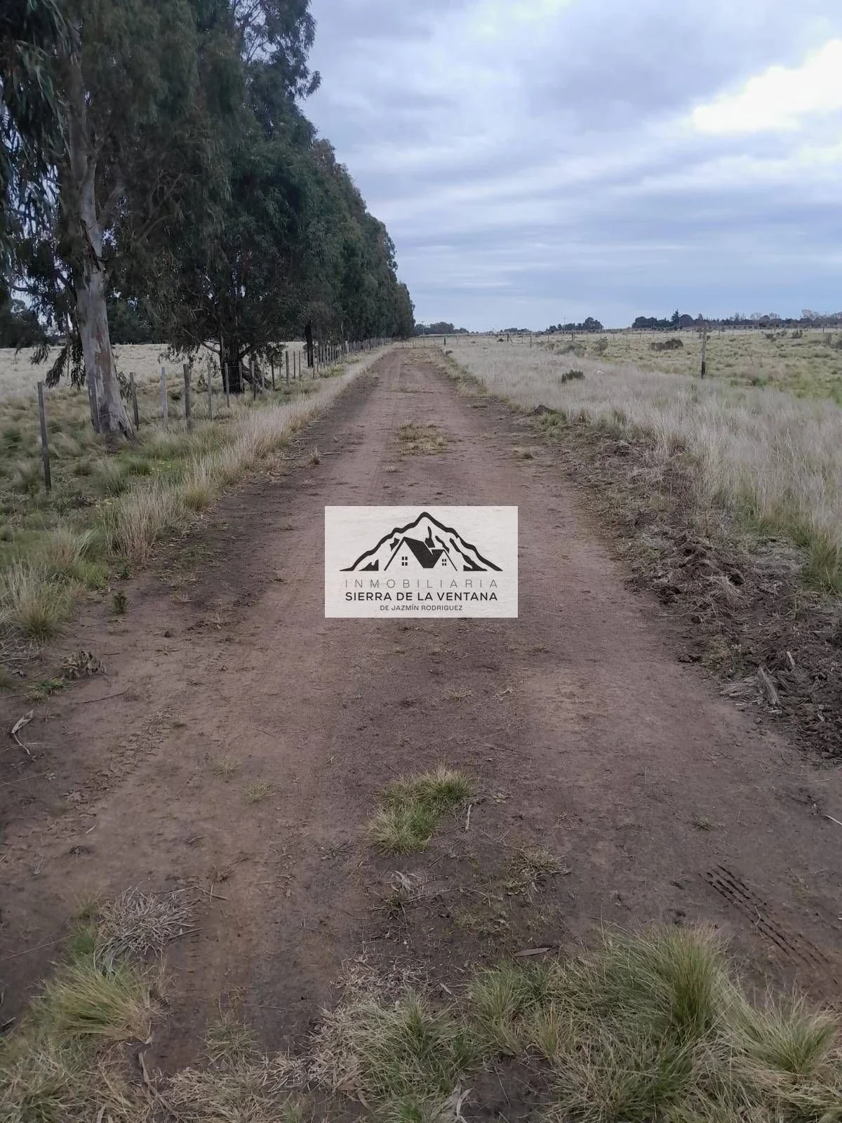 Terreno / Lote en venta de 1250m2 ubicado en Saldungaray - Imagen 1
