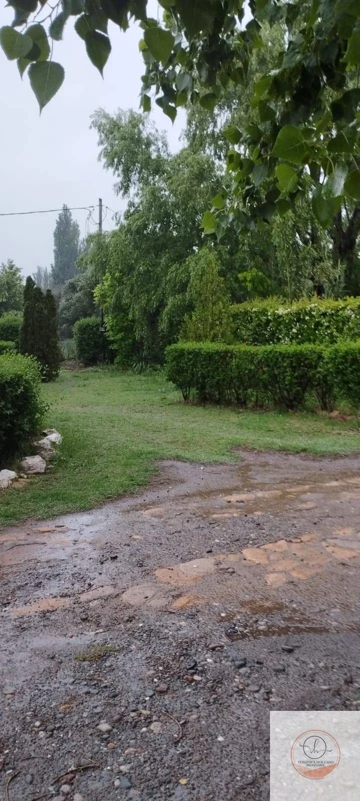 VENTA CASA QUINTA MAS SALÓN DE USOS MÚLTIPLES-LAS PAREDES - SAN RAFAEL - MENDOZA - Imagen 1