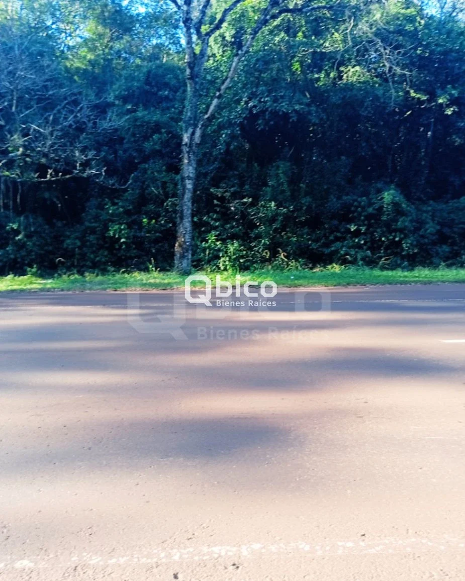 Terreno / Lote en venta de 1250m2 ubicado en Oberá - Imagen 5