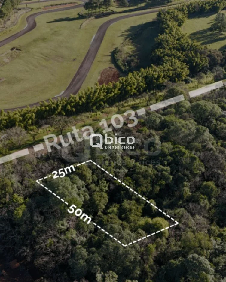 Terreno / Lote en venta de 1250m2 ubicado en Oberá - Imagen 2