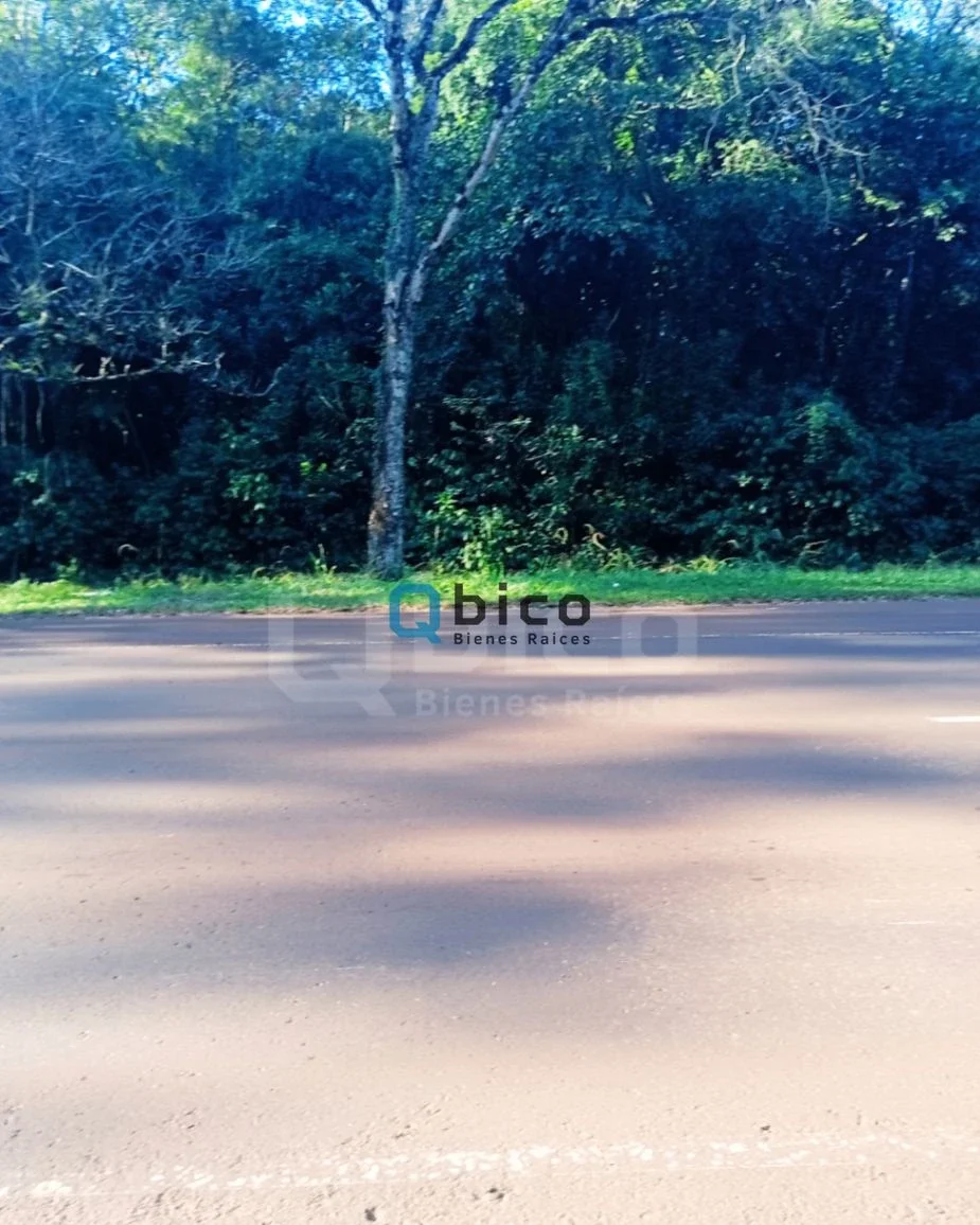 Terreno / Lote en venta de 1250m2 ubicado en Oberá - Imagen 5