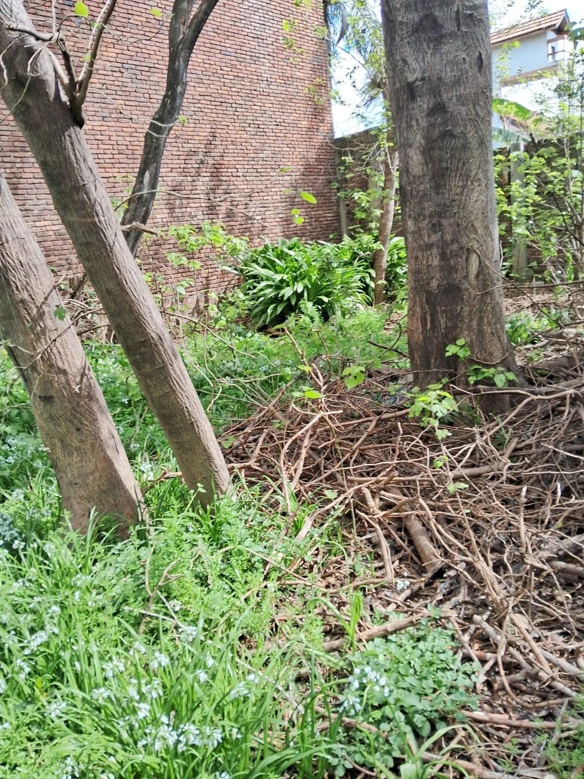 Terreno / Lote en alquiler de 1320m2 ubicado en Villa Ballester - Imagen 2