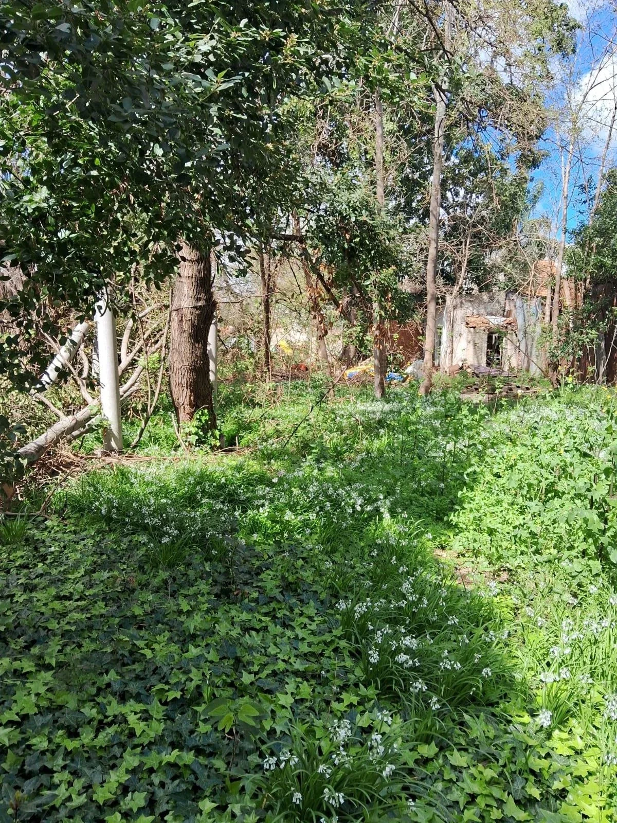 Terreno / Lote en alquiler de 1320m2 ubicado en Villa Ballester - Imagen 4