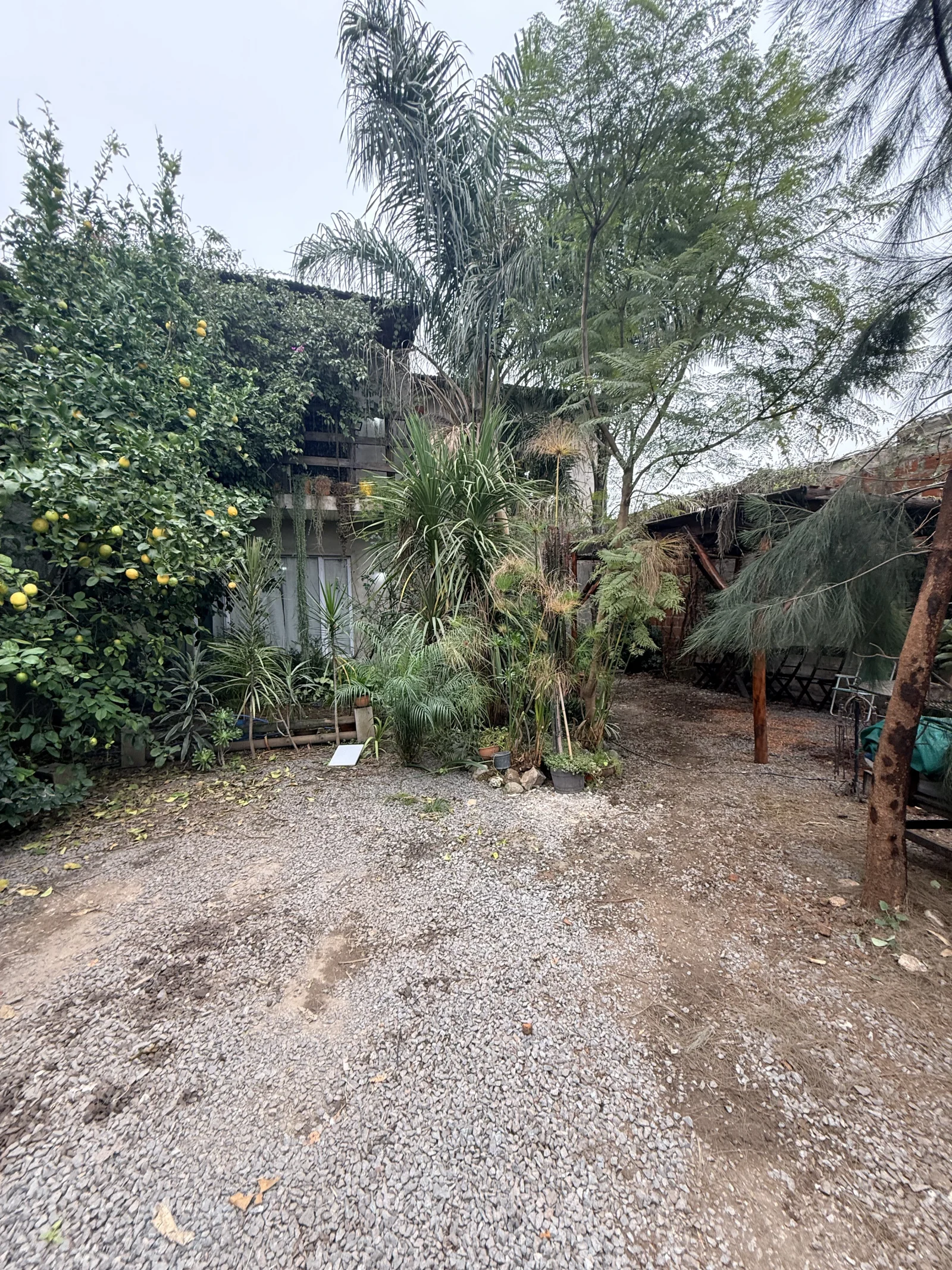Casa en alquiler c/ cochera en José C. Paz - Imagen 2