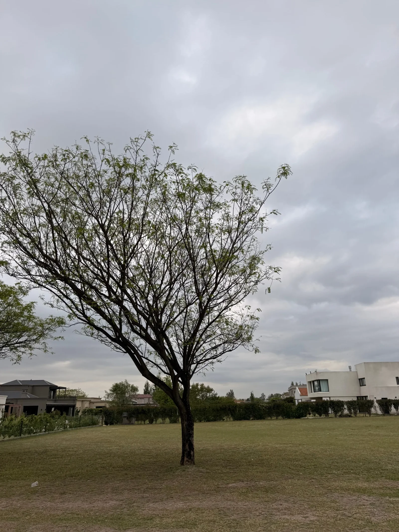 Terreno / Lote en venta de 1239m2 ubicado en San Lorenzo Chico - Imagen 2