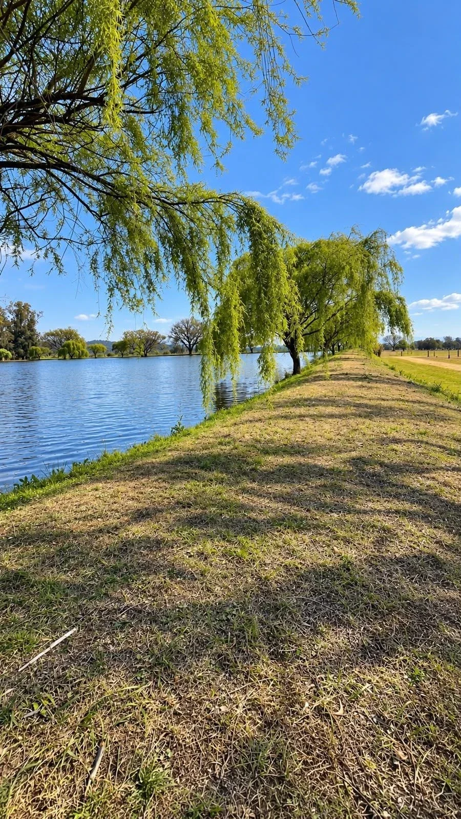 Terreno en venta de 1699m2 en Club de Campo El Encón, Salta - Imagen 2