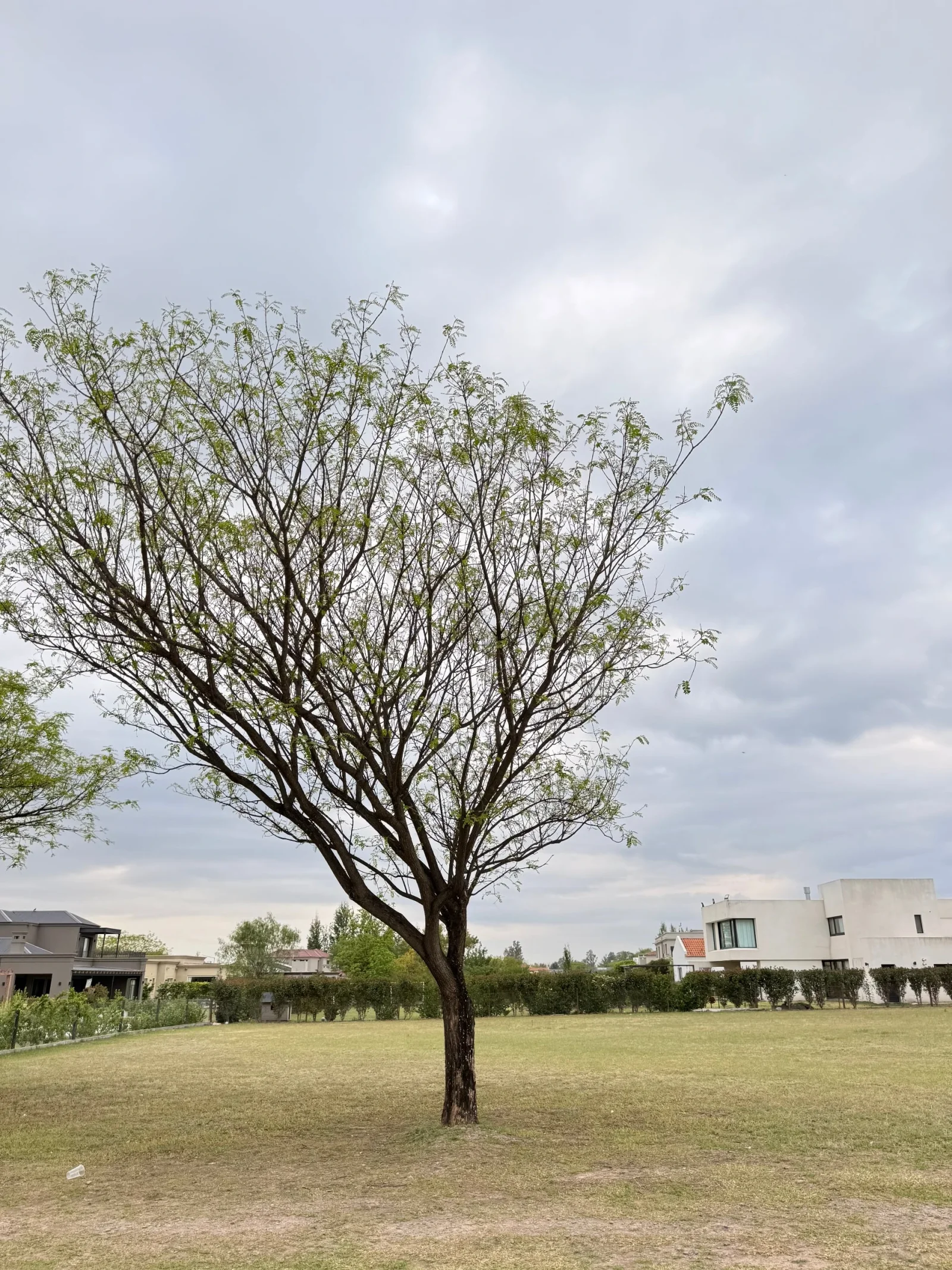 Terreno / Lote en venta de 1239m2 ubicado en San Lorenzo Chico - Imagen 1