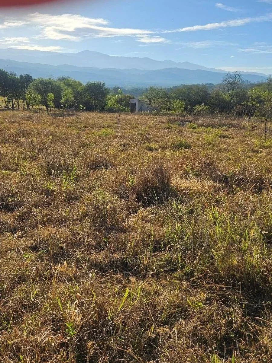 Terreno en venta de 1.926m2 en Chacras de Gallinato - Imagen 3
