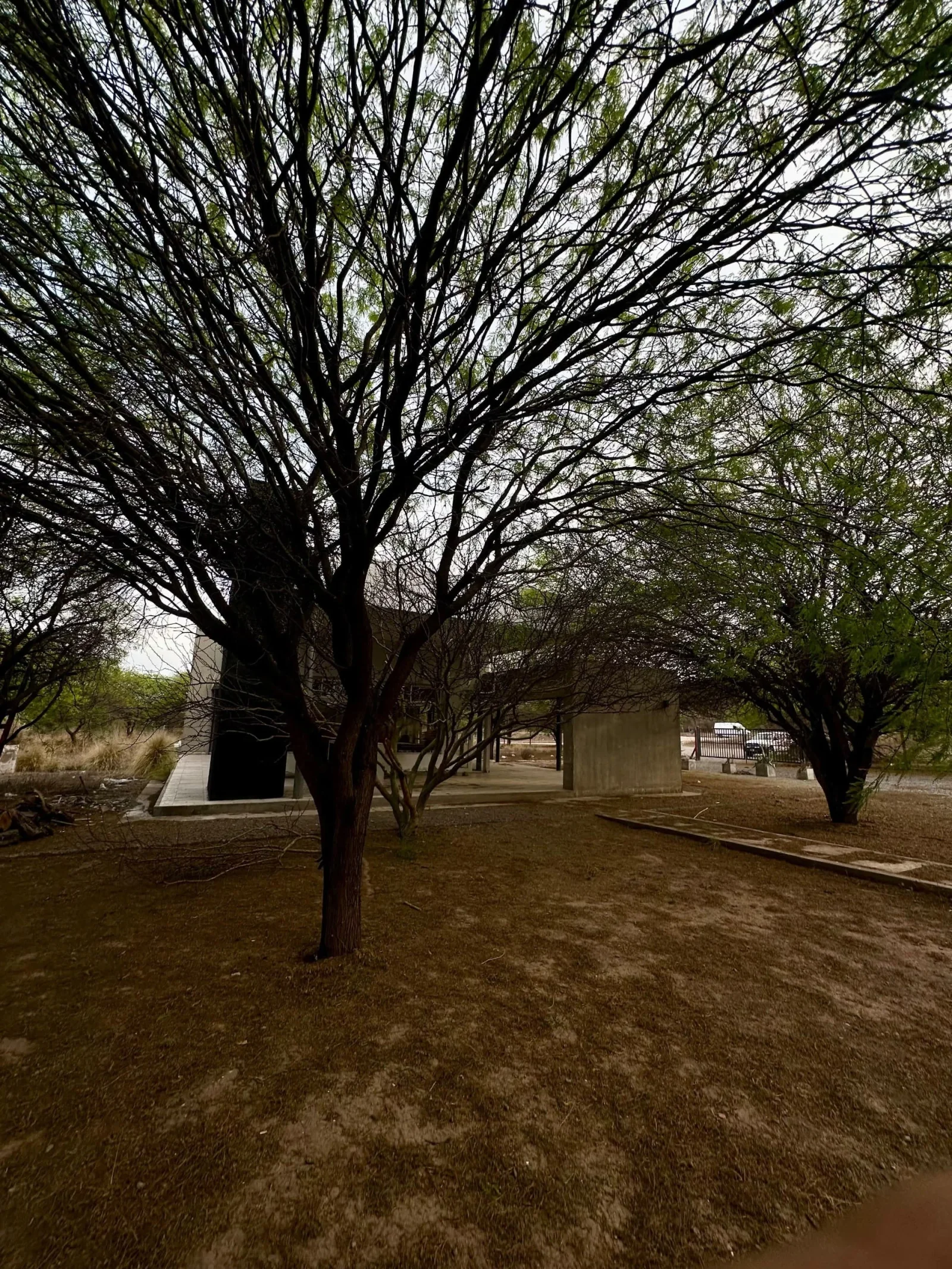 Local comercial en venta ubicado en Coronel Moldes - Imagen 2