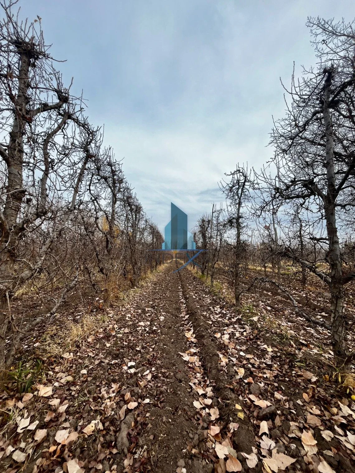 Chacra en venta de 10000m2 ubicado en General Roca - Imagen 4