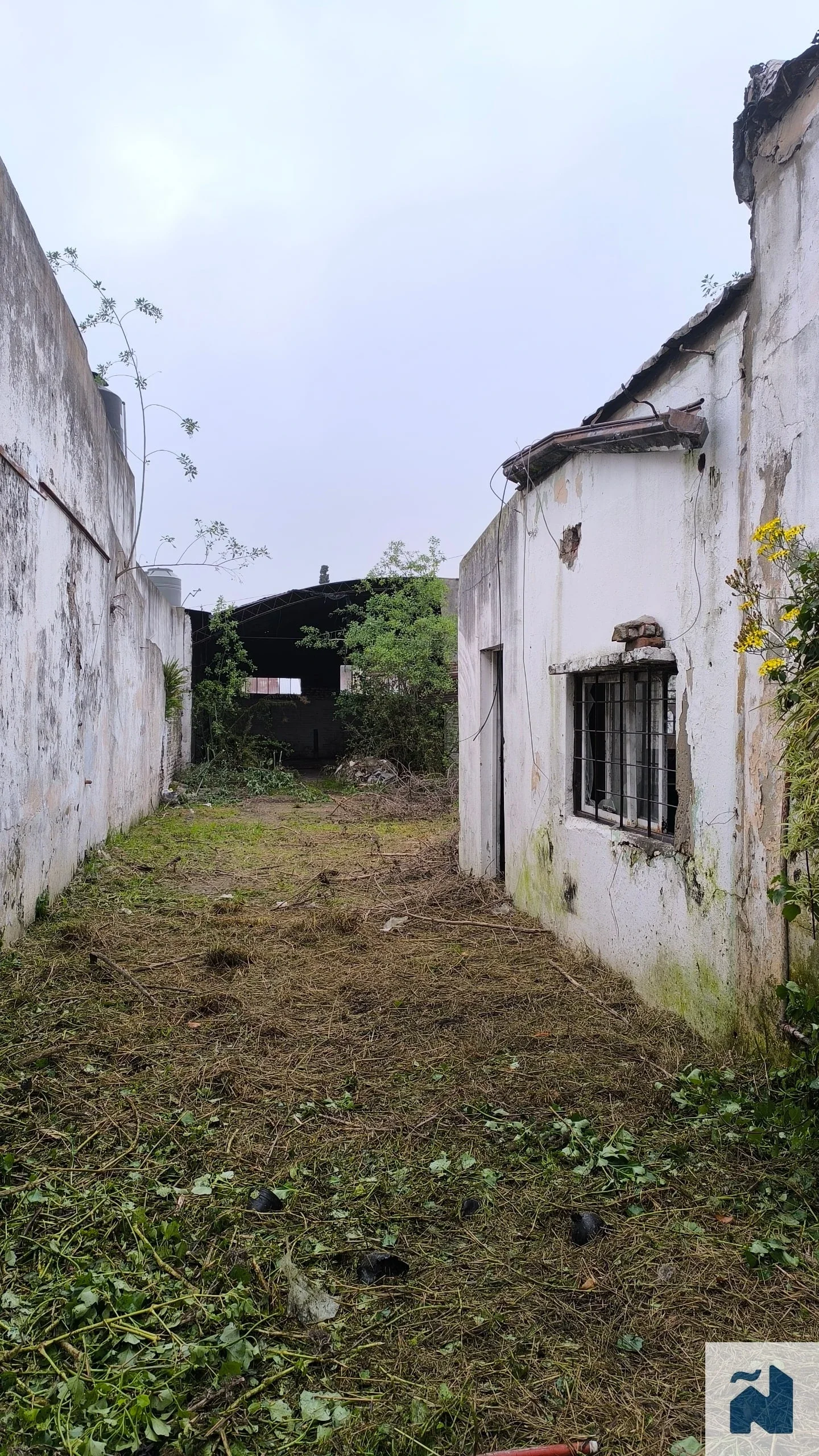 Terreno / Lote en venta de 400m2 ubicado en La Plata, Av. 44 e/27 y 28 - Imagen 4