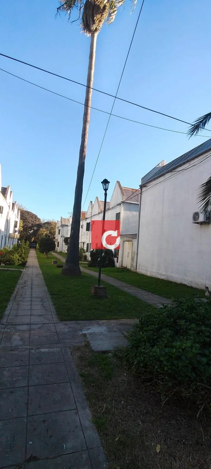 27 E/72 y 73-Dúplex en alquiler con quincho, patio y cochera en Villa Elvira - Imagen 2