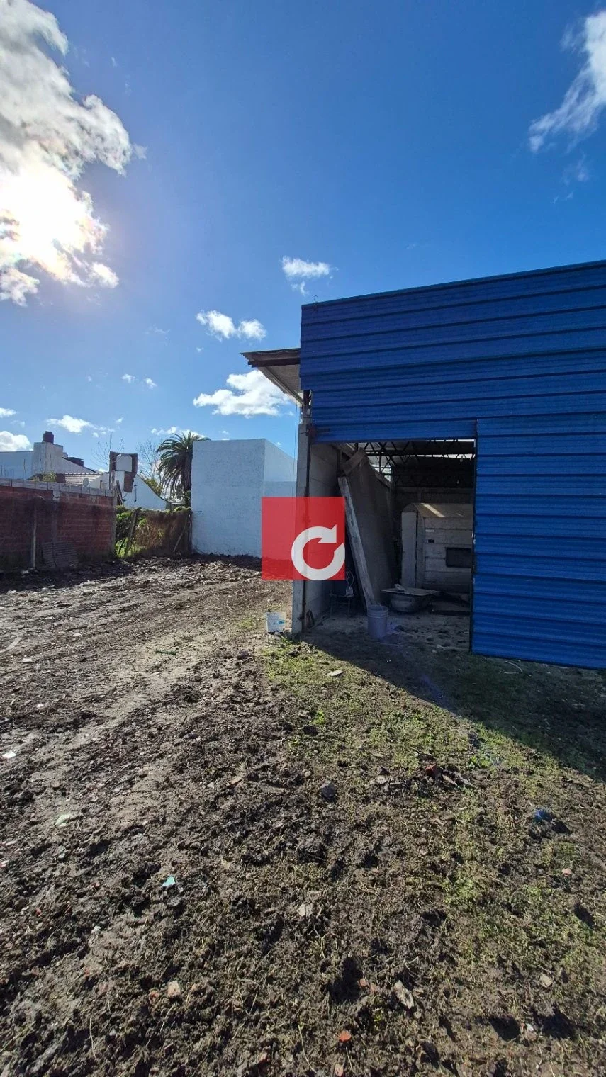 Calle 6bis e/ 84 y 85 - GALPÓN a estrenar - Imagen 3