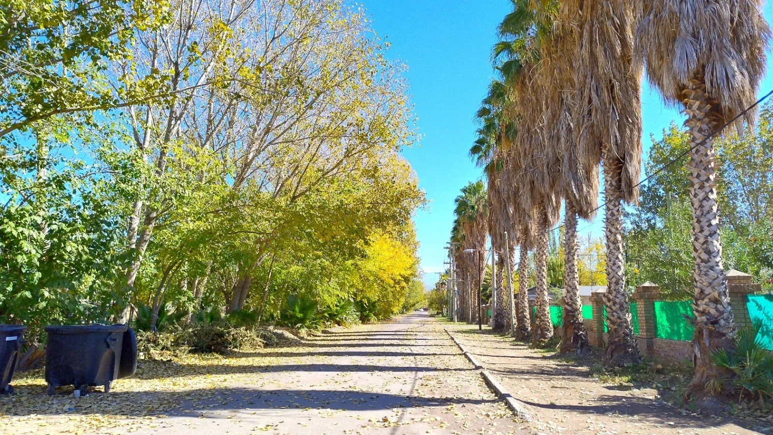 Terreno / Lote en venta de 522m2 ubicado en El Sauce - Imagen 4