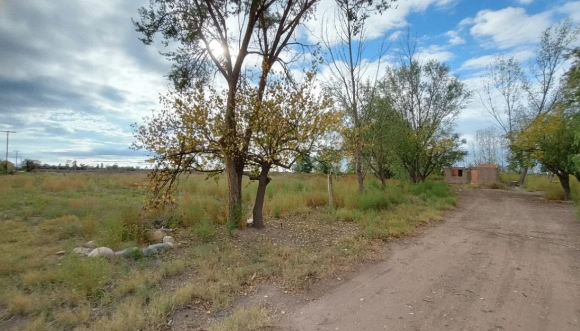 37 HECTÁREAS | EL LIENZO EN BLANCO PARA TU GRAN PROYECTO AGRÍCOLA EN MENDOZA - Imagen 5