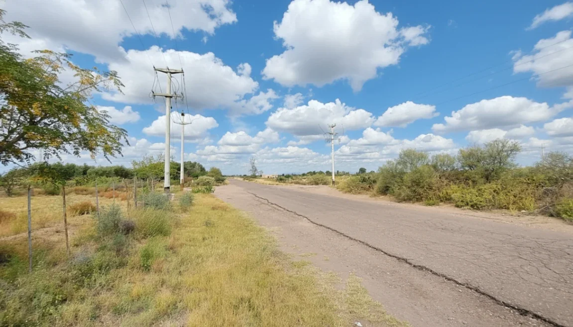 37 HECTÁREAS | EL LIENZO EN BLANCO PARA TU GRAN PROYECTO AGRÍCOLA EN MENDOZA - Imagen 3