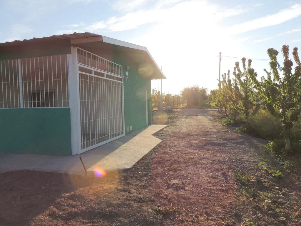 CASA EN ALQUILER RODEADA DE CEREZOS - Imagen 1