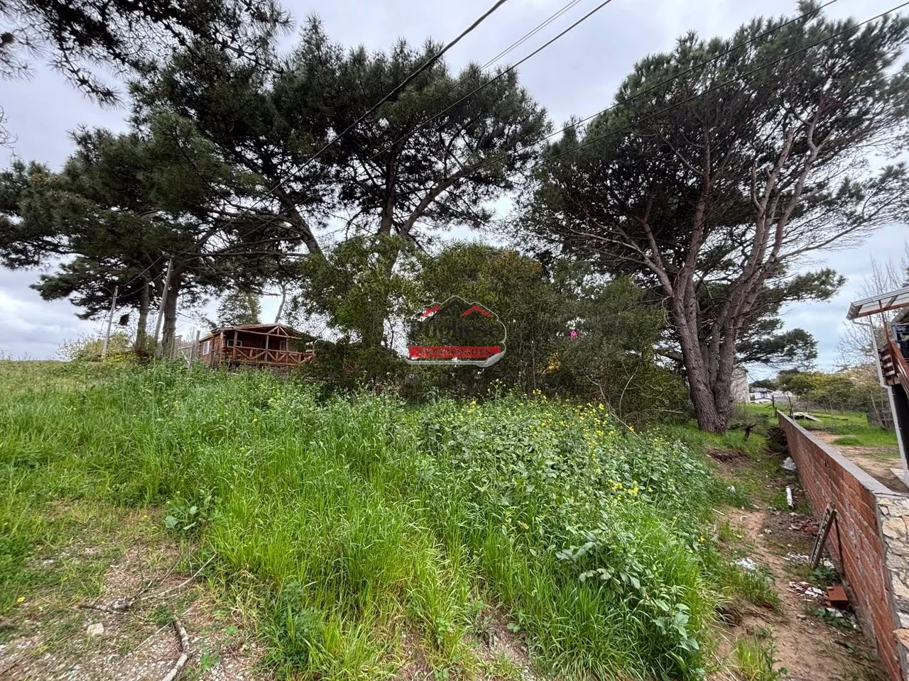 Terreno / Lote en venta de 700m2 ubicado en Zona Sur - Imagen 1