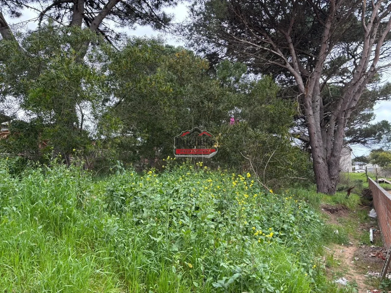 Terreno / Lote en venta de 700m2 ubicado en Zona Sur - Imagen 3