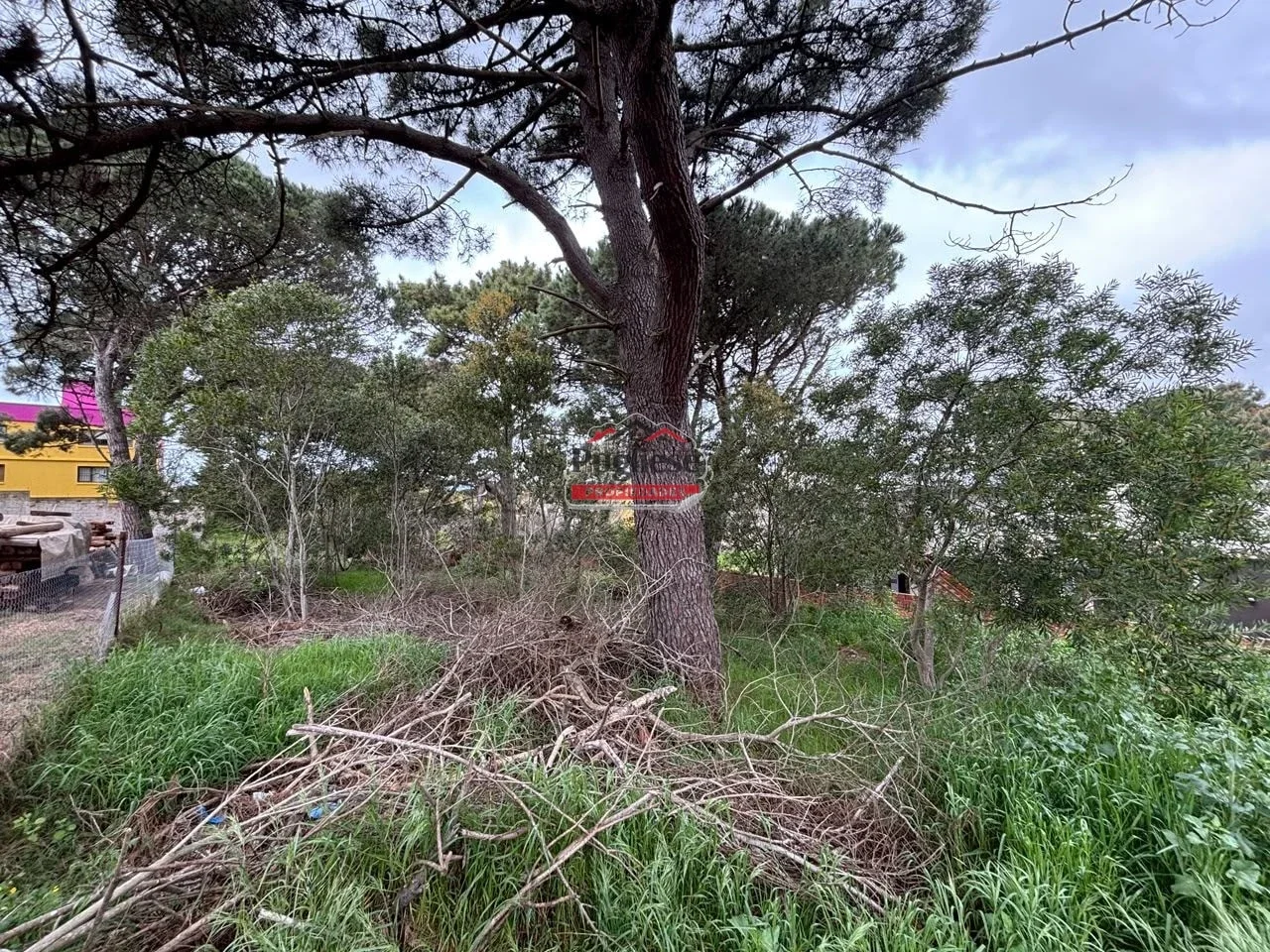 Terreno / Lote en venta de 700m2 ubicado en Zona Sur - Imagen 5