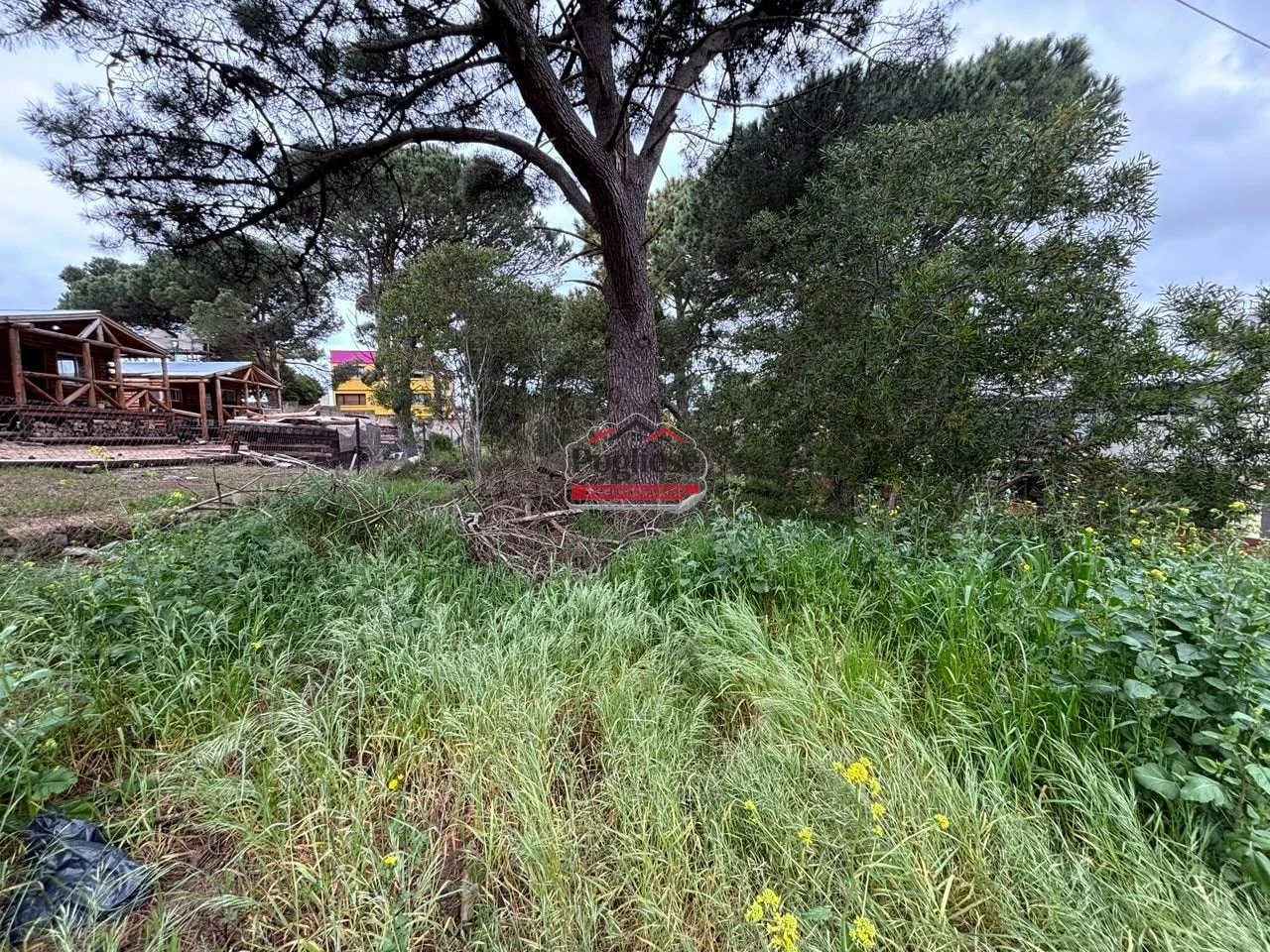 Terreno / Lote en venta de 700m2 ubicado en Zona Sur - Imagen 2