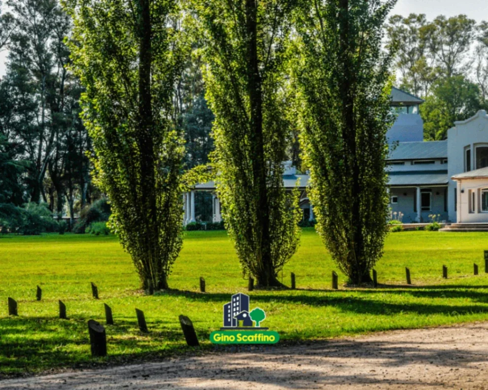 Terreno / Lote en venta de 2360.07m2 ubicado en Villa Ruiz - Imagen 2