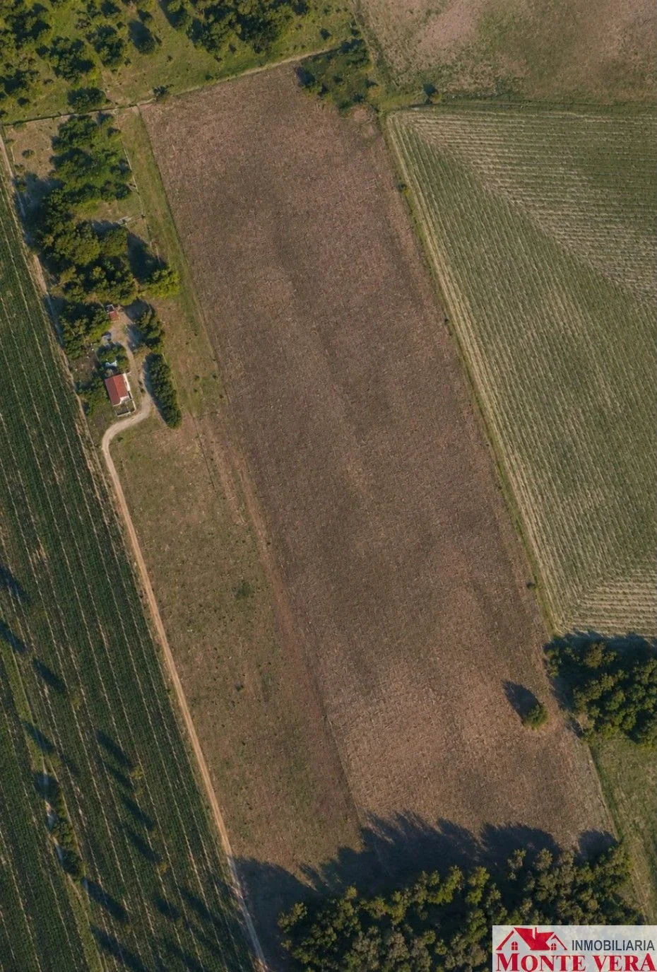 Campo en venta de 12 hectáreas ubicado en Arroyo Aguiar - Imagen 2