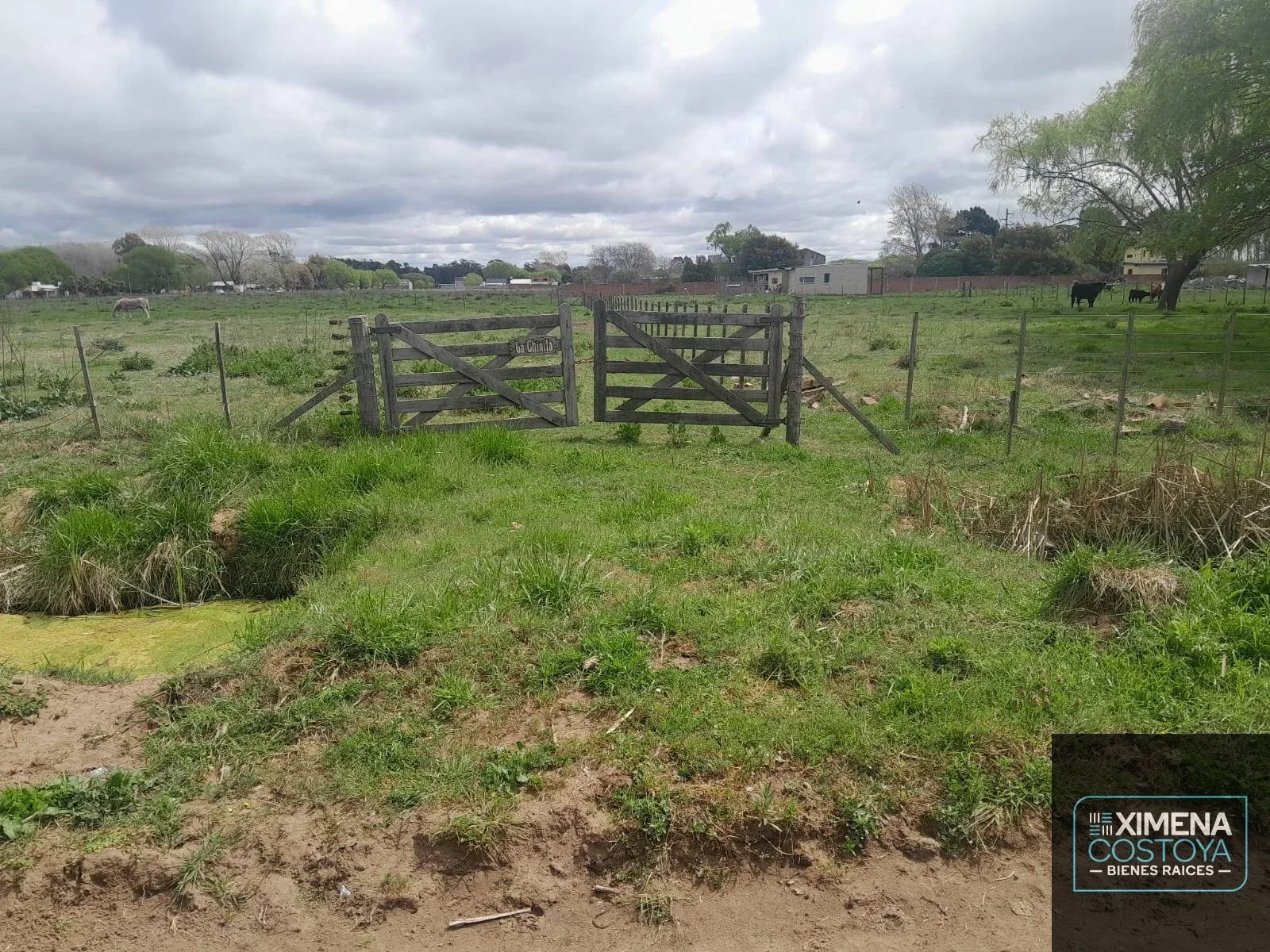 Terreno / Lote en venta de 3750m2 ubicado en Pavón - Imagen 2