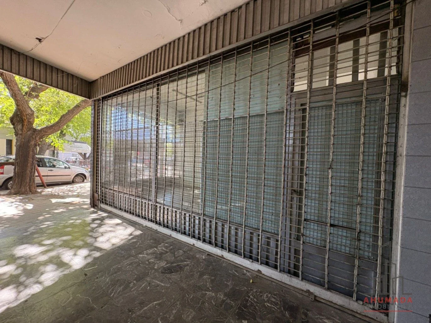 Local comercial en alquiler en Sexta Sección - Ciudad - Imagen 5