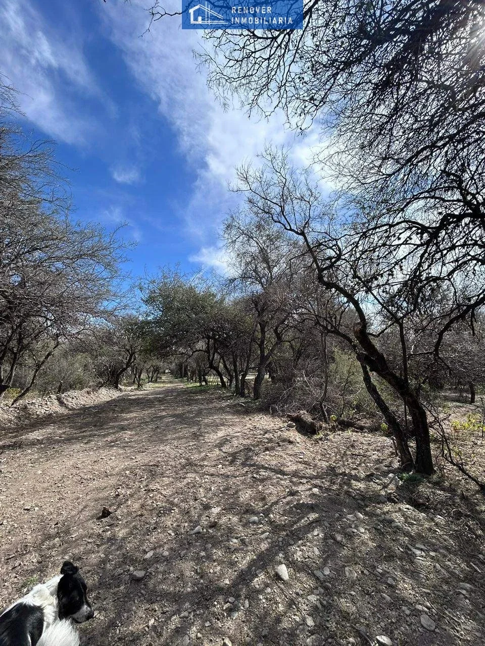 Terreno / Lote en venta de 8183m2 ubicado en Carpintería - Imagen 1