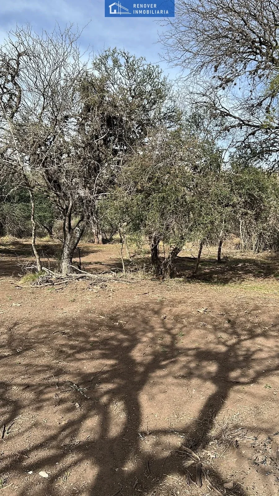 Terreno / Lote en venta de 1398.35m2 ubicado en Carpintería - Imagen 2