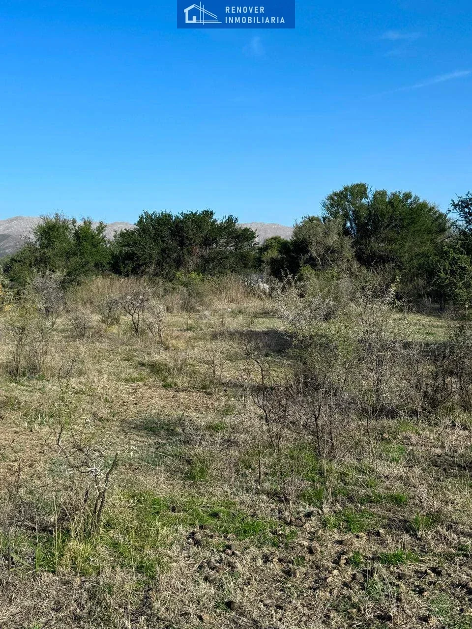 Terreno / Lote en venta de 1035.5m2 ubicado en Cortaderas - Imagen 5