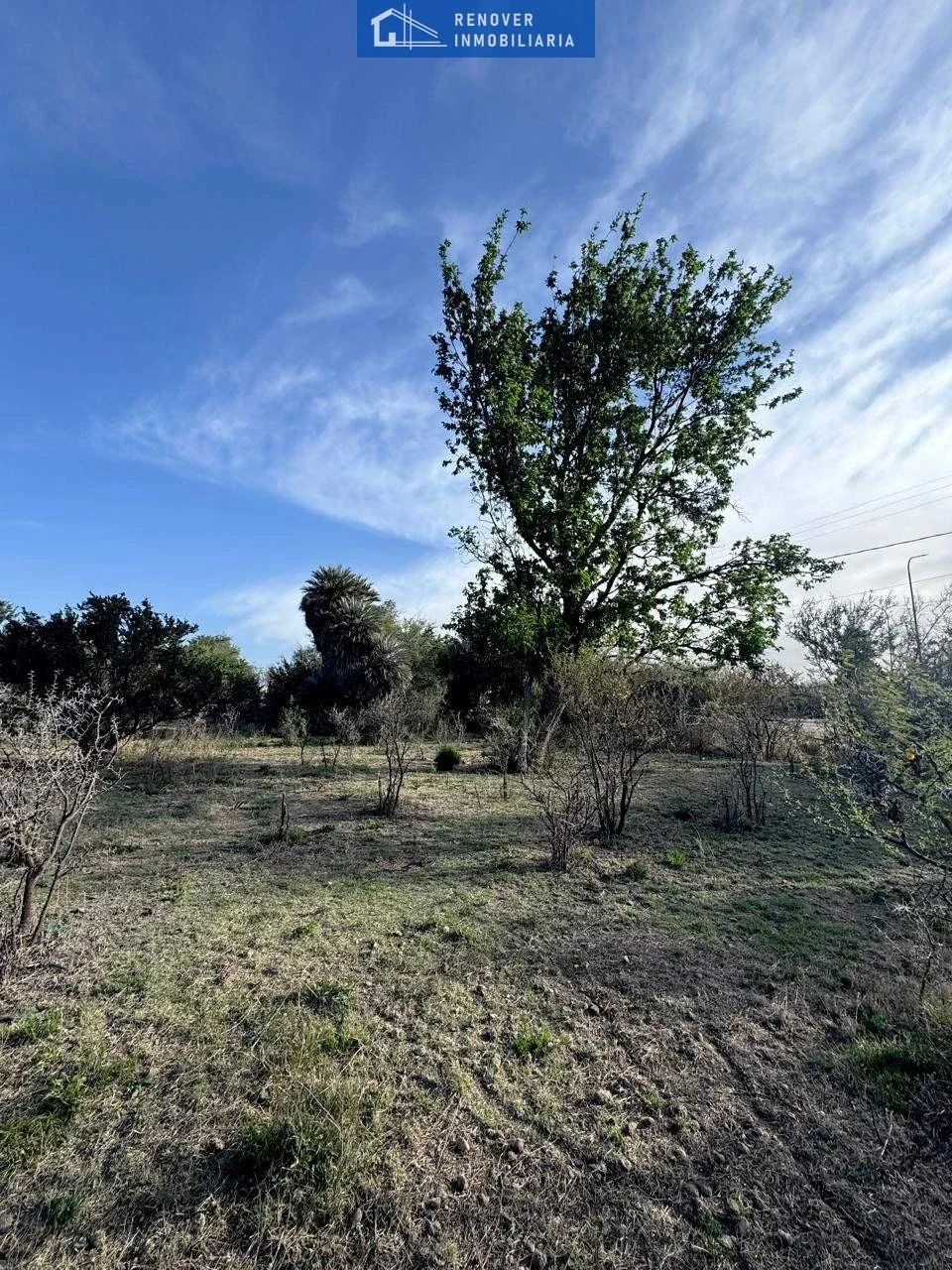 Terreno / Lote en venta de 1035.5m2 ubicado en Cortaderas - Imagen 2