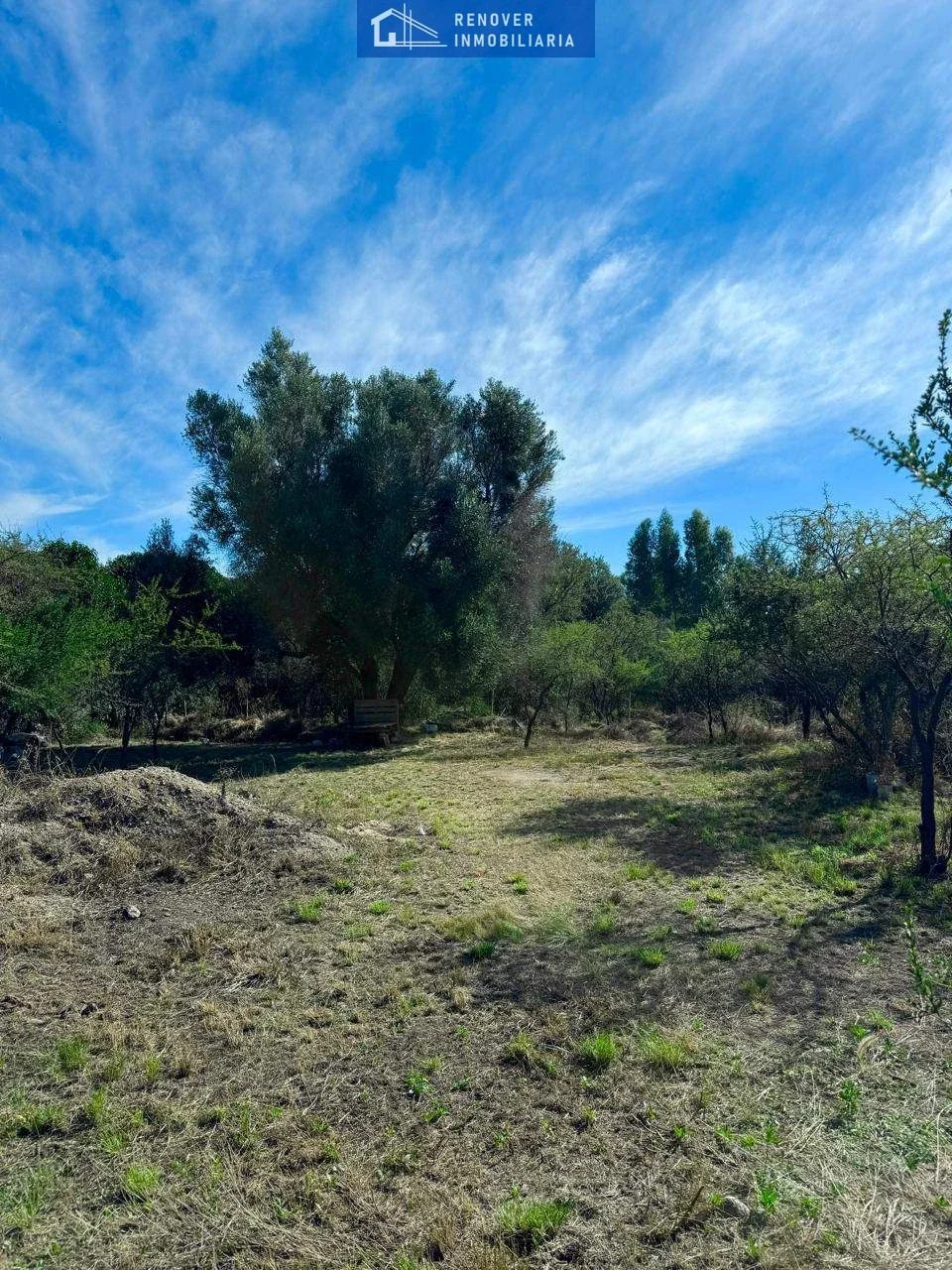 Terreno / Lote en venta de 1200m2 ubicado en Carpintería - Imagen 1