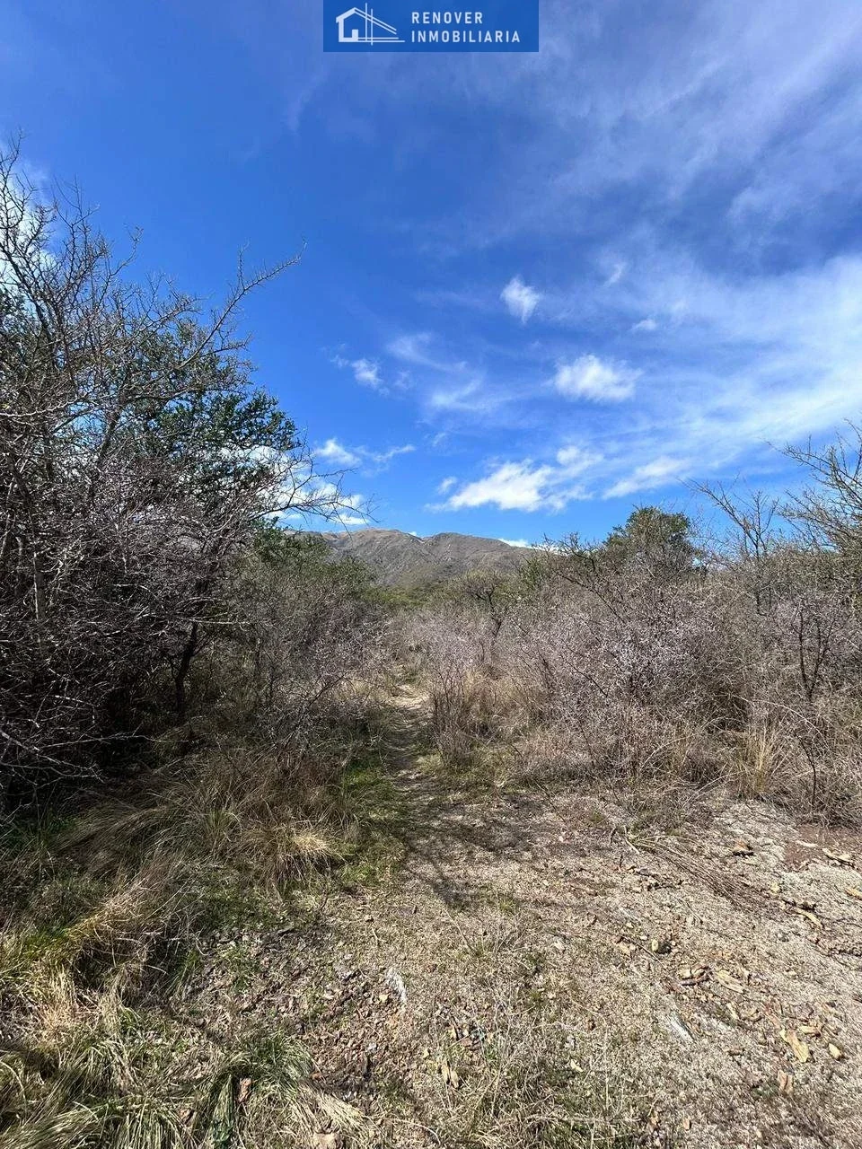 Campo en venta de 78.5ha ubicado en Los Molles - Imagen 5