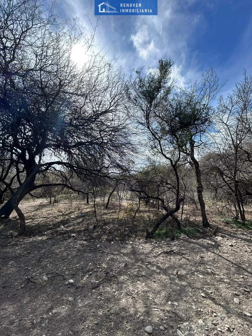 Terreno / Lote en venta de 8183m2 ubicado en Carpintería - Imagen 2