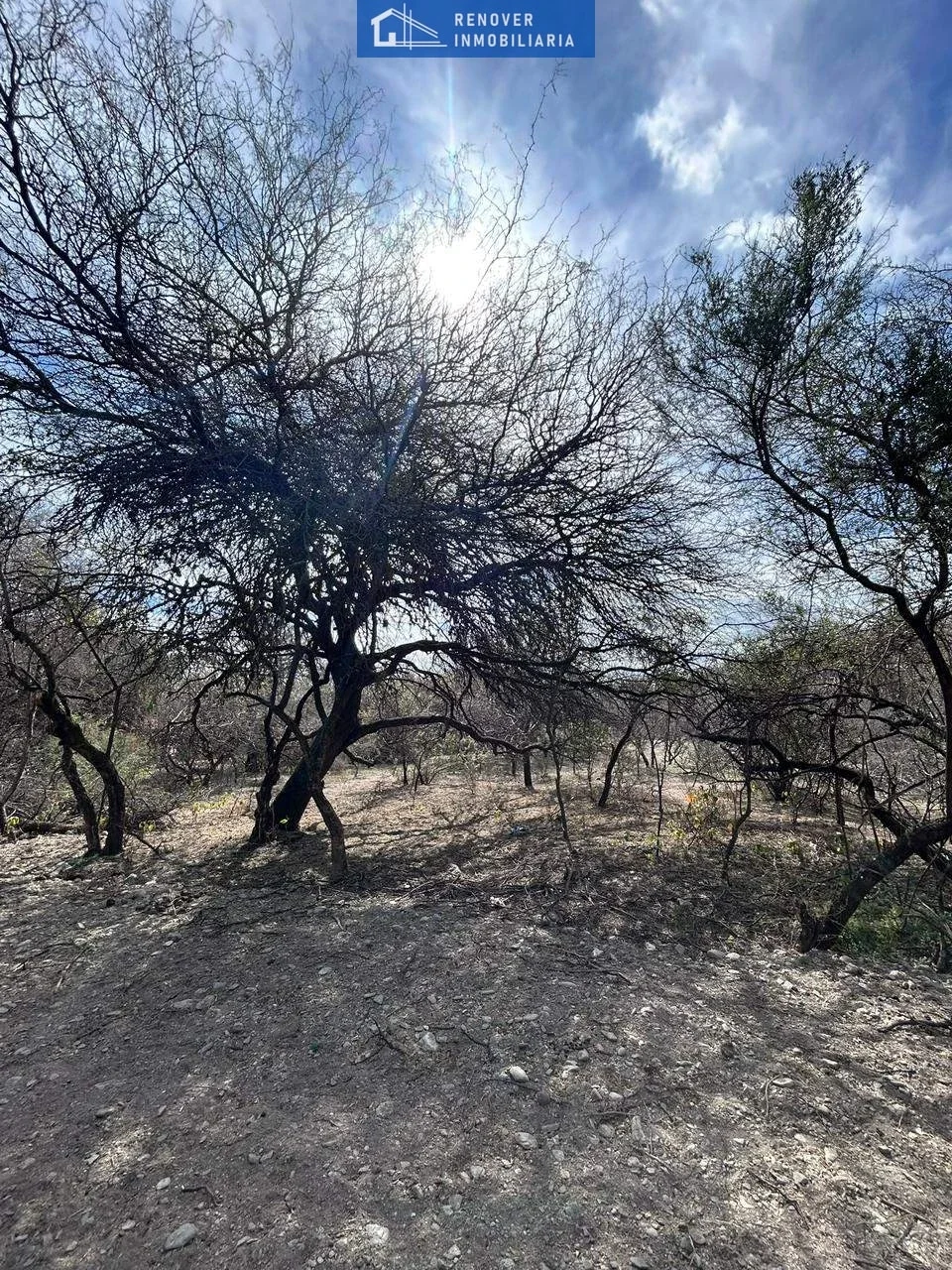 Terreno / Lote en venta de 8183m2 ubicado en Carpintería - Imagen 5