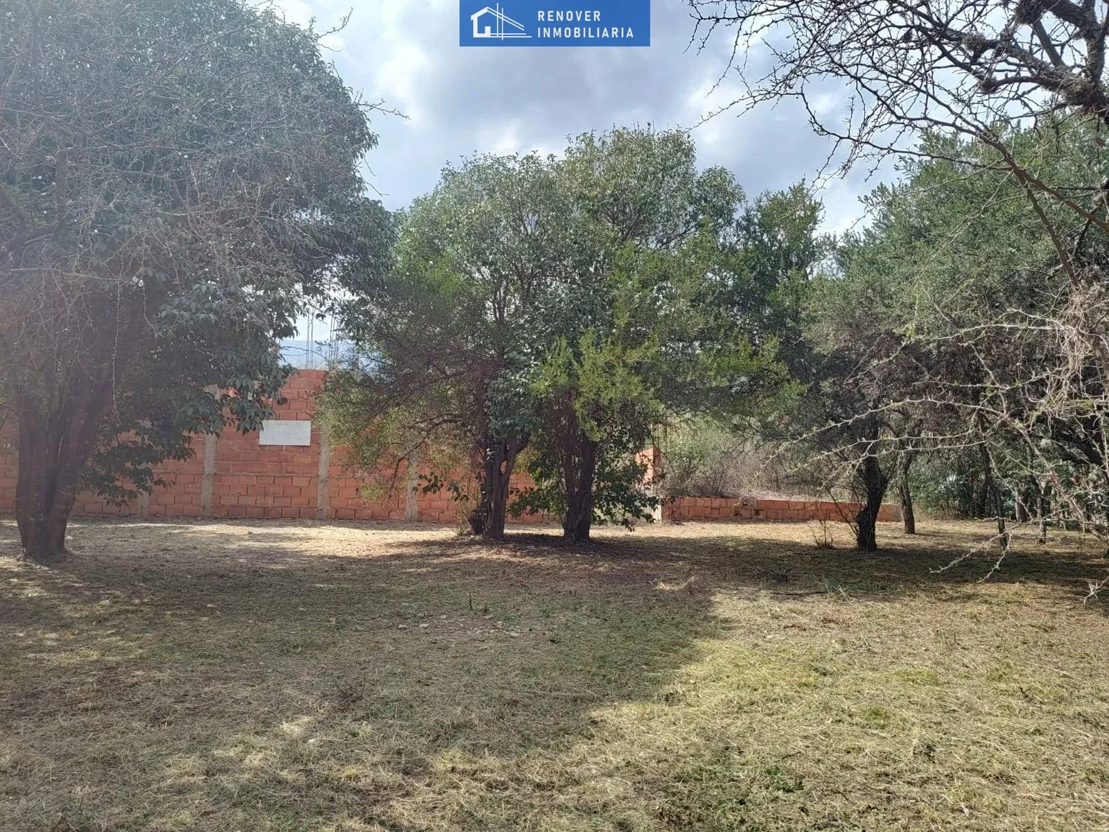 Terreno / Lote en venta de 1001.8m2 ubicado en Carpintería - Imagen 3